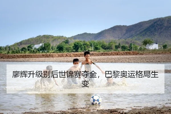 廖辉升级别后世锦赛夺金，巴黎奥运格局生变